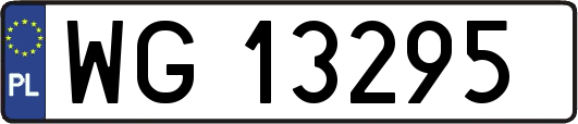 WG13295