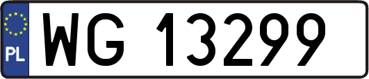 WG13299