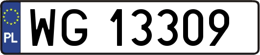 WG13309