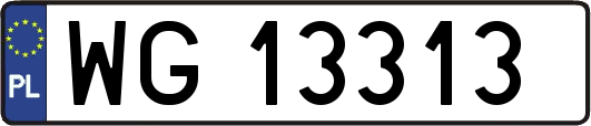 WG13313