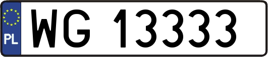 WG13333