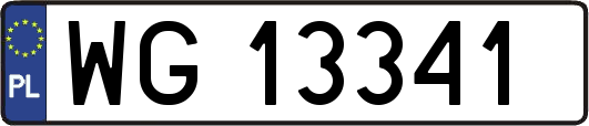 WG13341