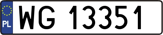 WG13351