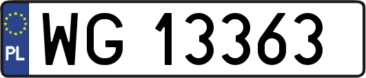 WG13363