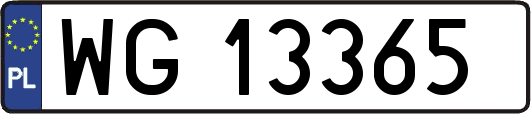 WG13365