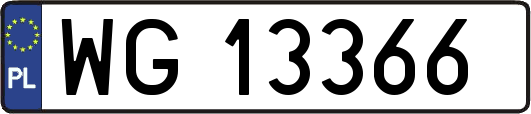 WG13366
