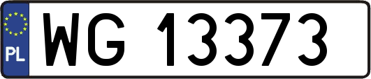 WG13373