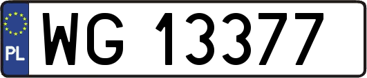 WG13377