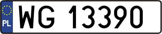 WG13390