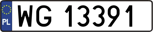 WG13391