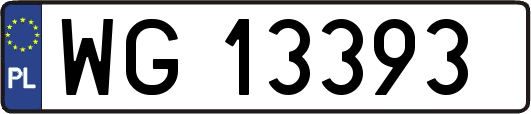WG13393