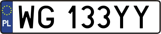 WG133YY