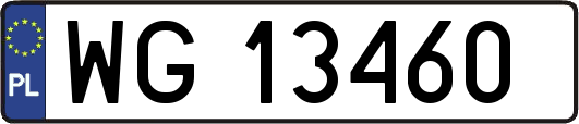 WG13460