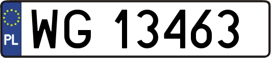 WG13463