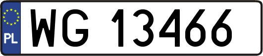 WG13466