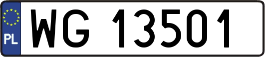 WG13501