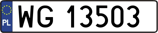 WG13503