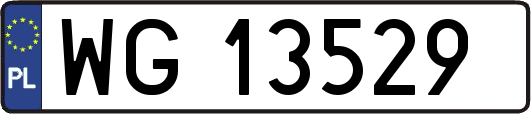 WG13529