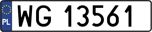 WG13561