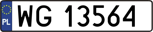 WG13564