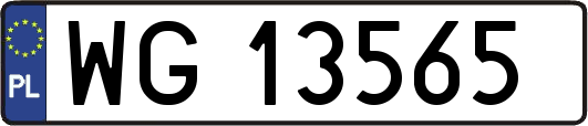 WG13565