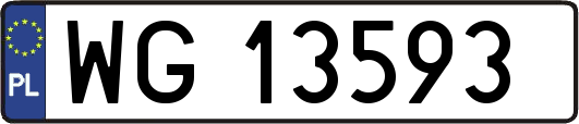 WG13593