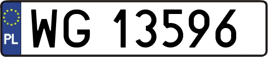 WG13596