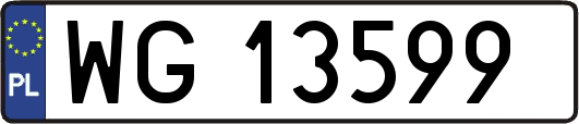 WG13599