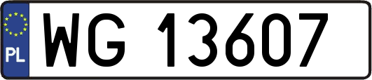 WG13607