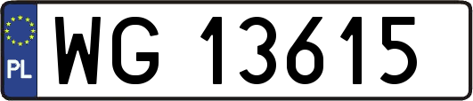 WG13615