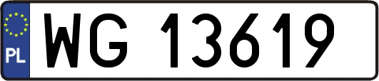 WG13619