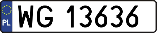 WG13636