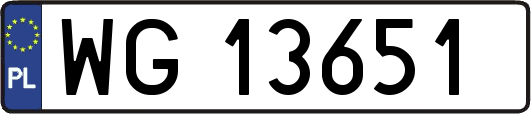 WG13651