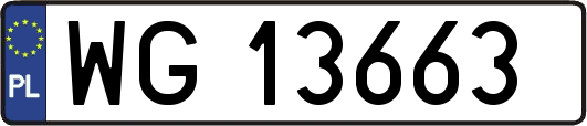 WG13663
