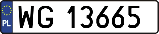 WG13665