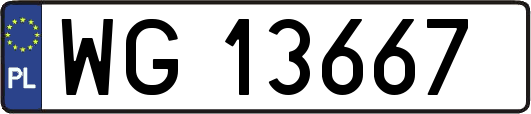 WG13667