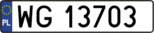 WG13703