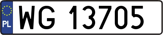WG13705