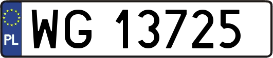 WG13725