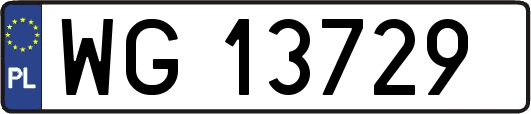 WG13729