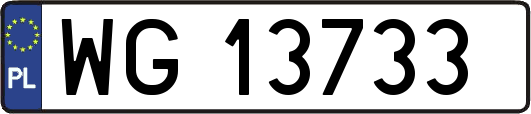 WG13733