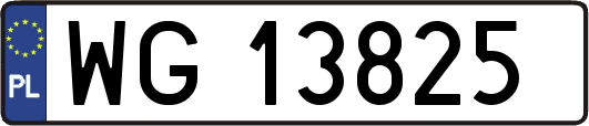 WG13825