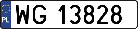 WG13828