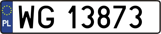 WG13873