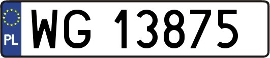 WG13875
