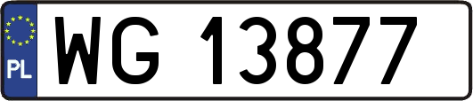 WG13877