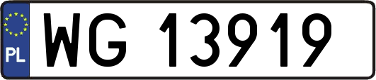 WG13919
