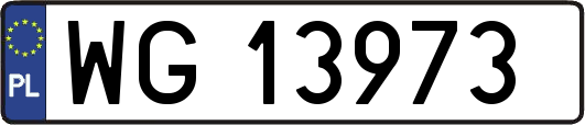 WG13973
