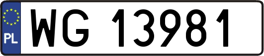 WG13981