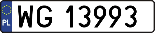 WG13993